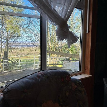 Cozy Room In A Barn With Farm View ダブリン エクステリア 写真
