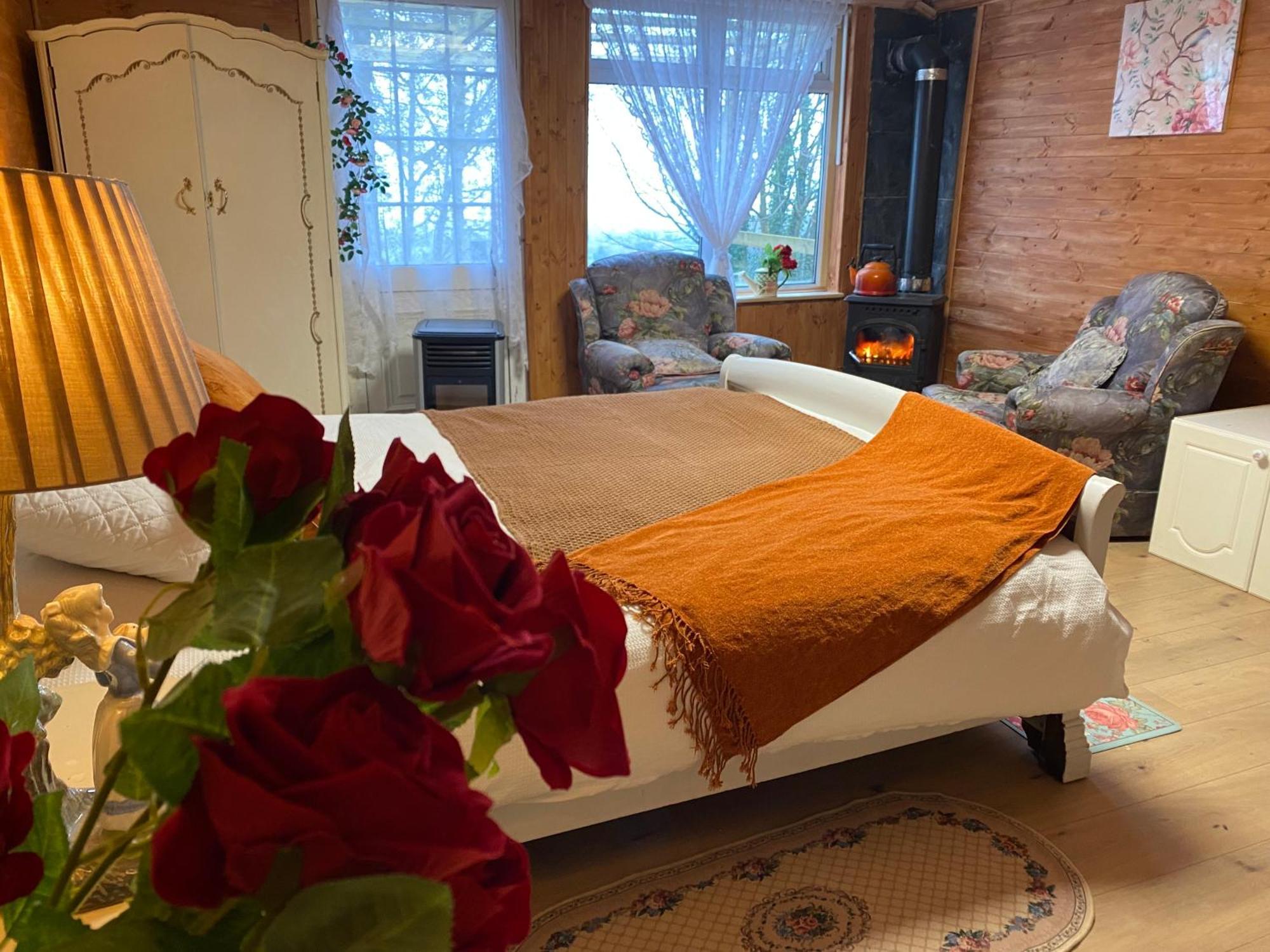 Cozy Room In A Barn With Farm View ダブリン エクステリア 写真
